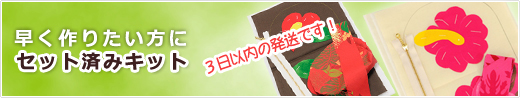 �Z�b�g�ς݃n���C�A���L���g�L�b�g