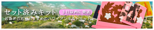 セット済みキット